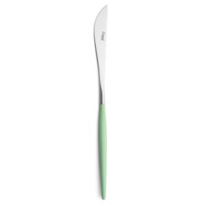 Couteau de service Goa Cutipol vert céladon et inox 24 cm