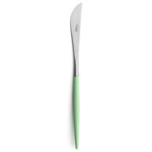 Couteau de table Goa Cutipol vert céladon et inox 23 cm