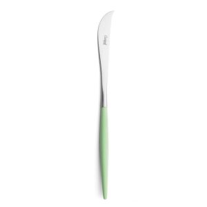 Couteau à fromage Goa Cutipol vert céladon et inox 22 cm