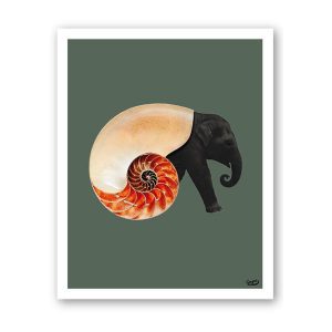 Affiche Shellephant